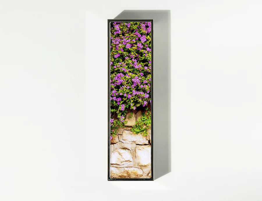 Beauty Mezuzah with waterproof scroll tube and mounting bracket | MitzvahArt