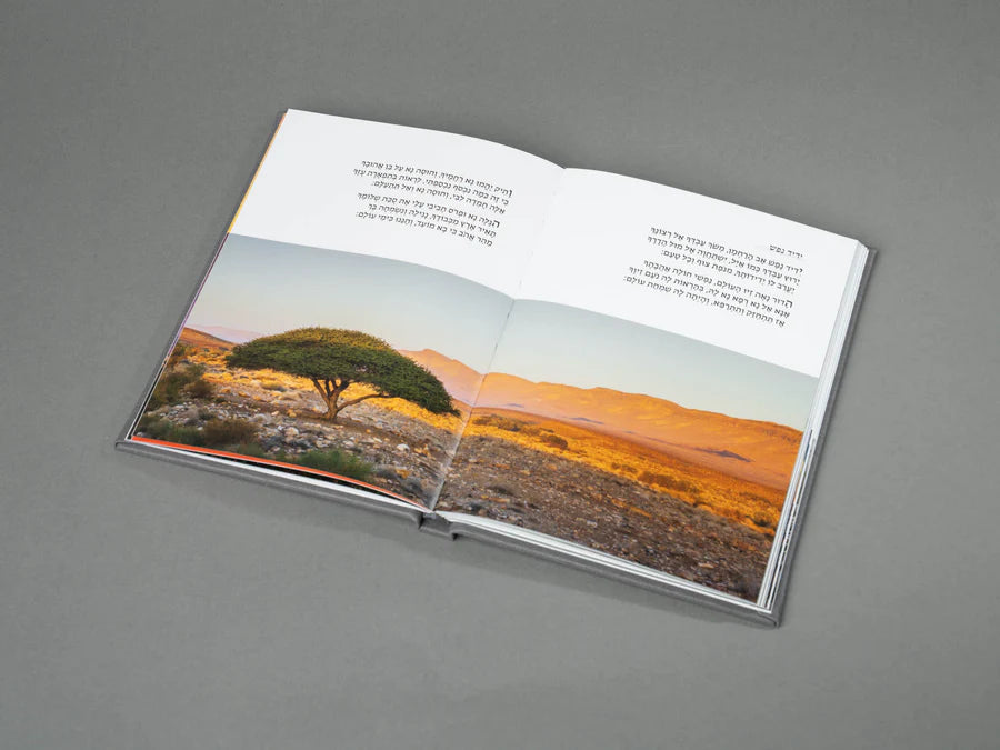 Aretz Birkon, landscape photography cover | MitzvahArt