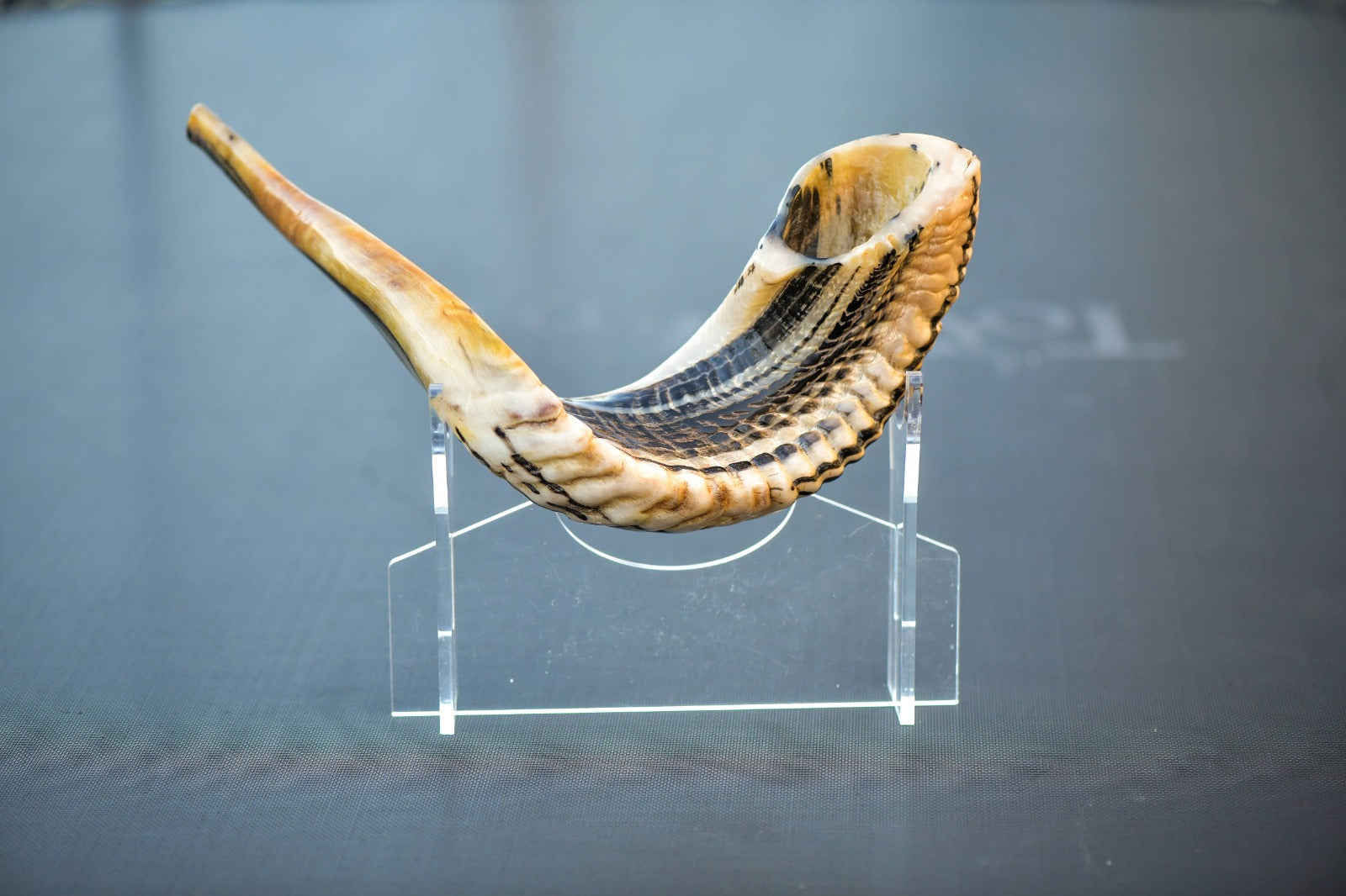 Shofar