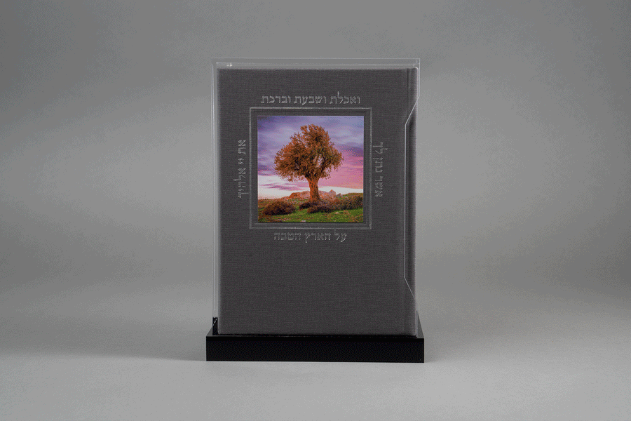 סט ארץ בירקון