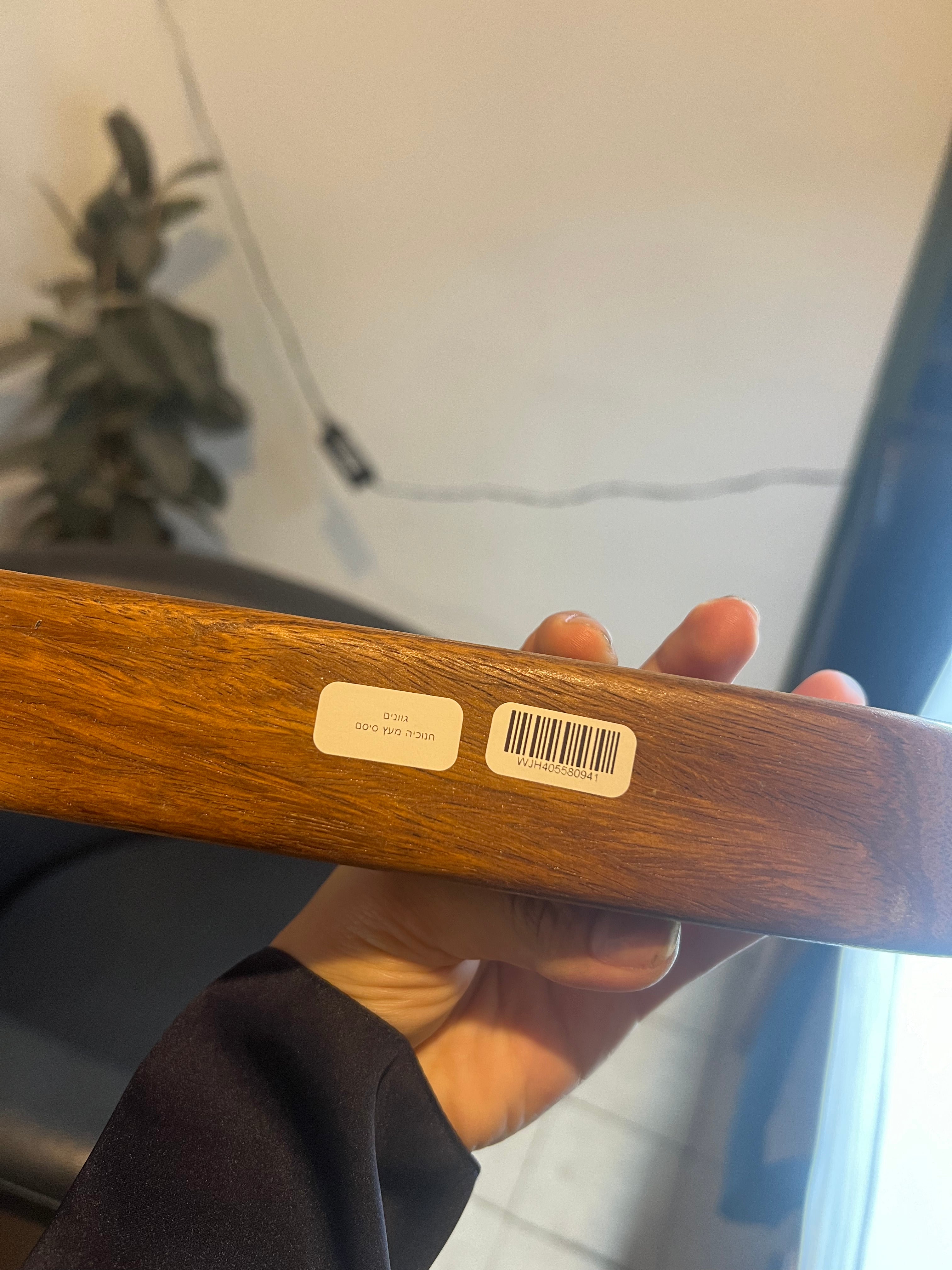 חנוכייה / חנוכה