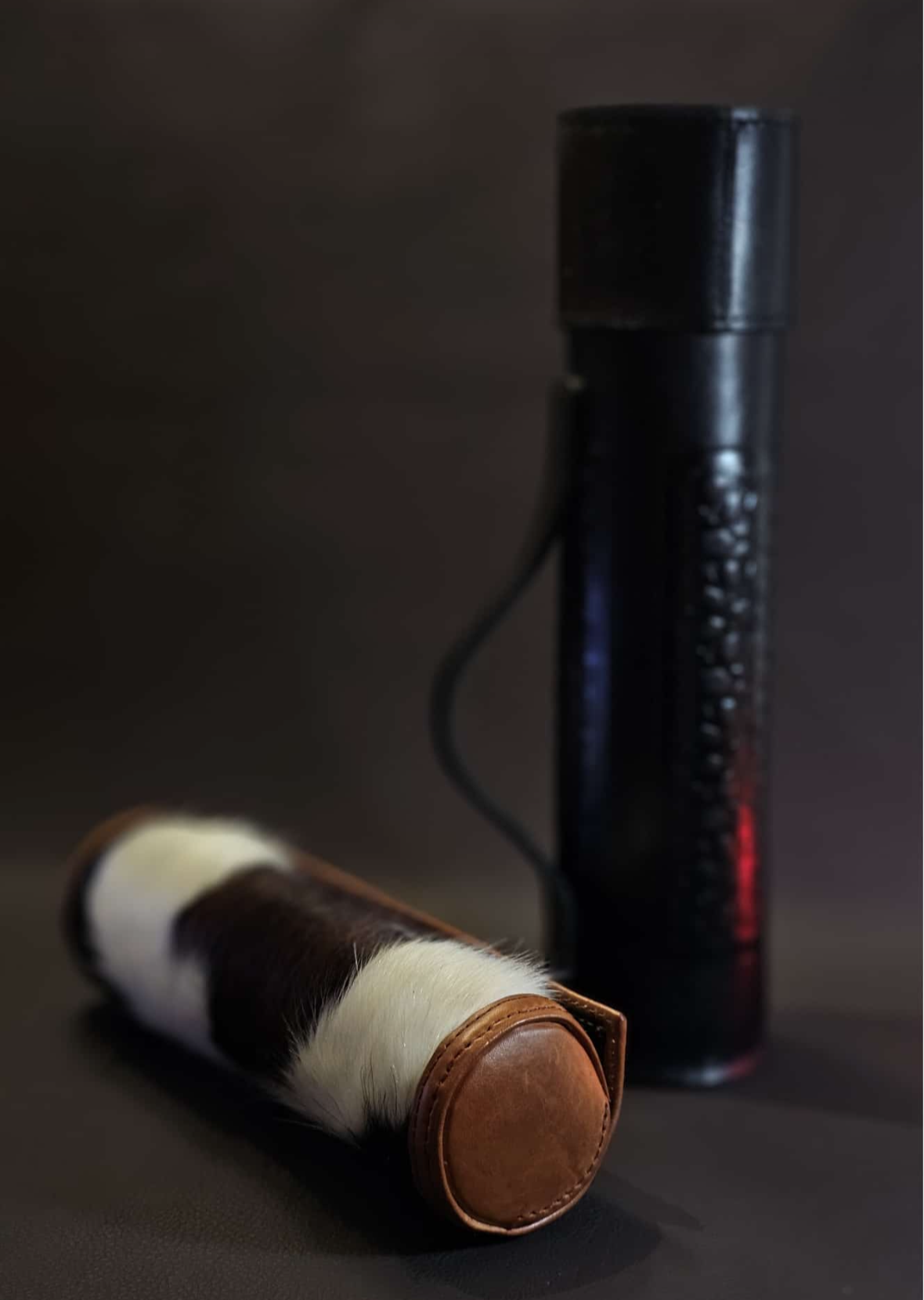 Lulav / Esrog holder